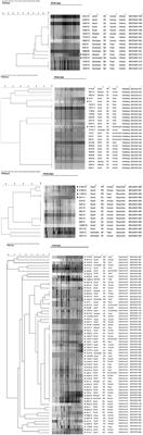 Characteristics of <mark class="highlighted">Quinolone Resistance</mark> in Salmonella spp. Isolates from the Food Chain in Brazil